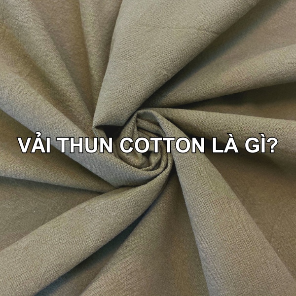 Vải Thun Cotton Là Gì? Tìm Hiểu Thông Tin Về Vải Thun Cotton 